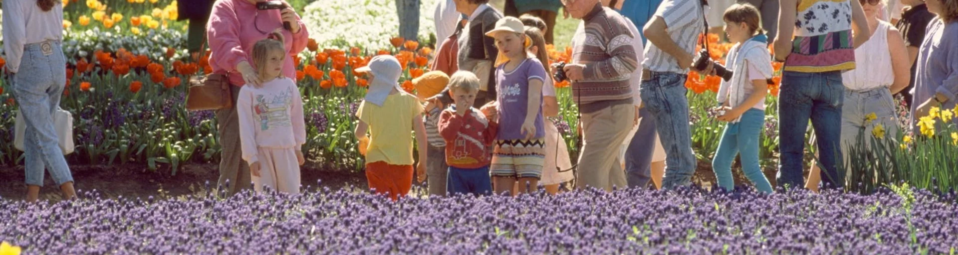A city in bloom: Floriade school holiday program