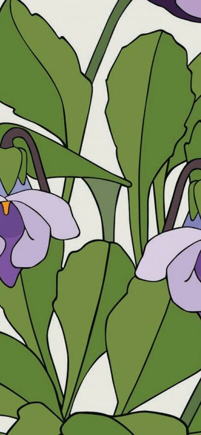 Viola by Eggpicnic Viola by Eggpicnic