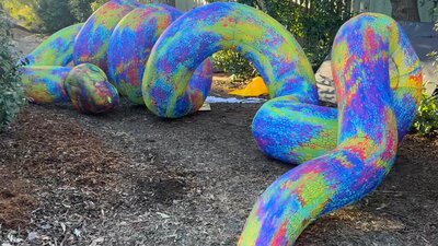 A picture of an 8 meter long inflatable rainbow coloured python