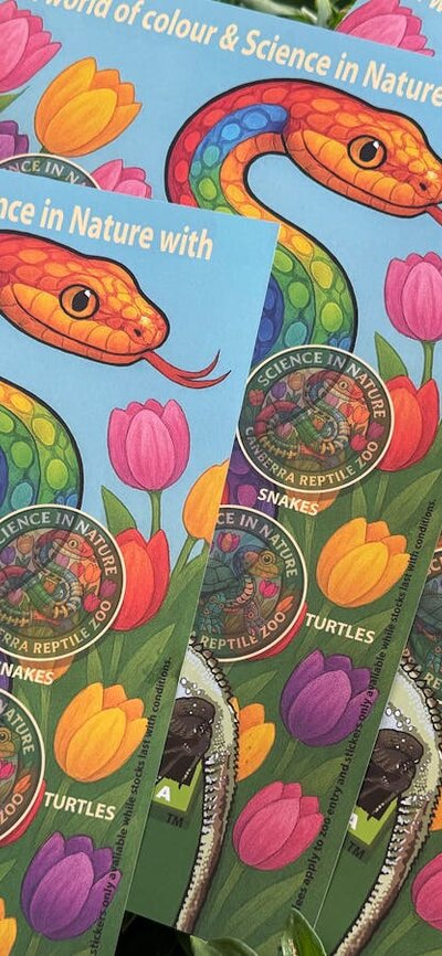 Colourfull posters of a rainbow coloured snake are surrounded by flowers and animal stickers .