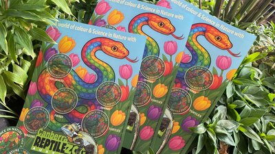 Colourfull posters of a rainbow coloured snake are surrounded by flowers and animal stickers .