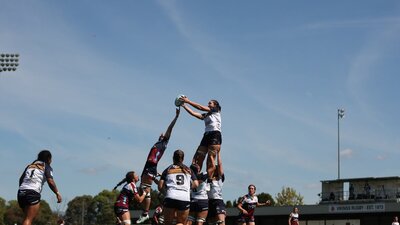 2026 Brumbies W vs Force