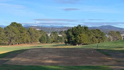 Looking across to Black Mountain and Telstra Tower