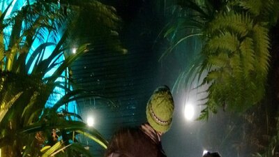 People walking in the rainforest at night time