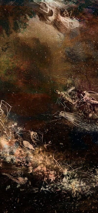 Lumachrome glass print, chemigram, cliché-verre, painting, sketch, collage.