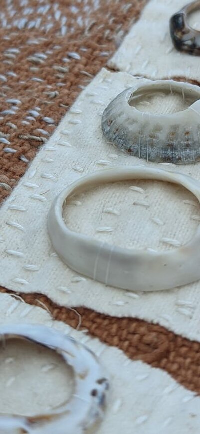 Brown textile with petals in white and natural shells