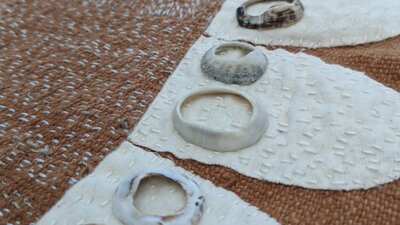 Brown textile with petals in white and natural shells
