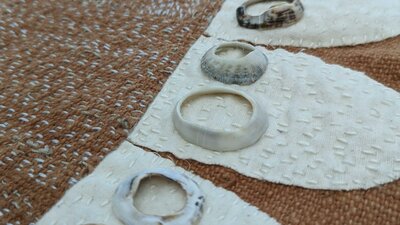 Brown textile with petals in white and natural shells