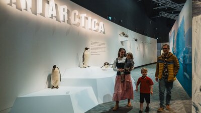 Antarctica exhibition Young family walking together in front of a penguin display.