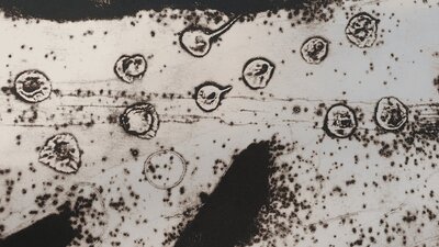 Image of artwork called South sounds (detail) by Rowena Evans