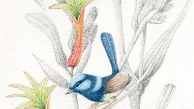 Trill Seekers 2, mixed media, bird