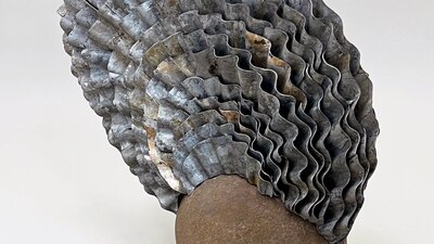 David Jensz - Mantle Stone, Corrugated Iron 28 x 31 x 12 cm AUD 5,500