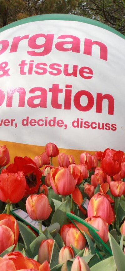 Beach ball with 'organ & tissue donation - discover, decide, discuss'  in a field of tulips