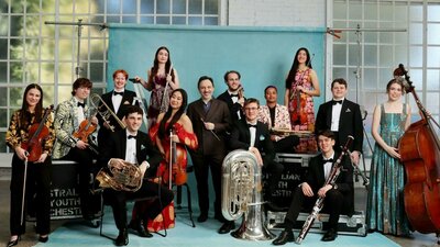 Group of orchestral musicians
