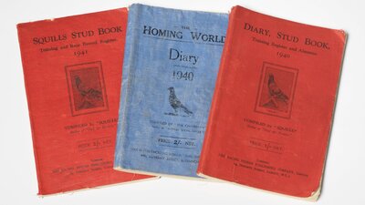 War time diaries
