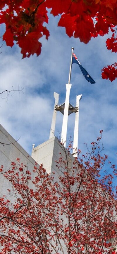 Looking up at the Australian Parliament House flag pole, red autumn flags frame the shot
