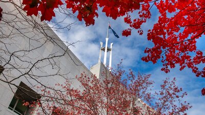 Looking up at the Australian Parliament House flag pole, red autumn flags frame the shot