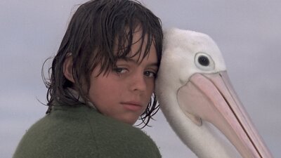Young boy pictured with wet hair, leaning his head on a live pelican