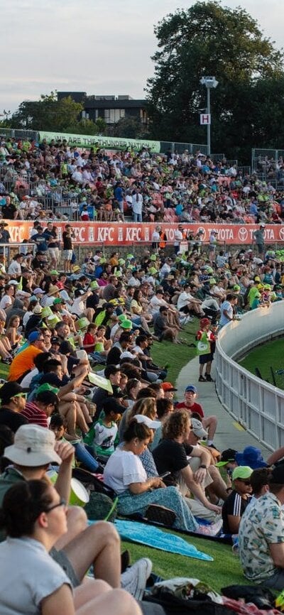 Fans watching the Big Bash on the hill at Manuka Oval