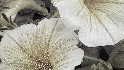 Mixed media work depicting a photograph of flowers with threaded petals.