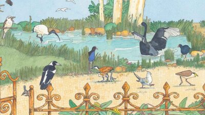 A vibrant illustration of a diverse group of Australian birds gathered around a pond.