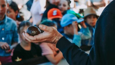 Come face to face with Australia's largest bugs.