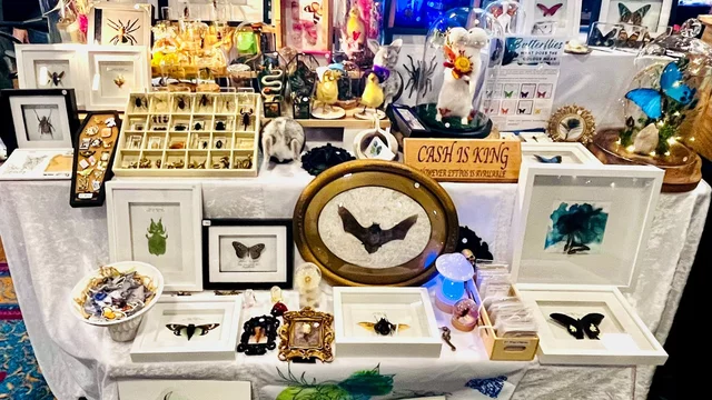 Canberra Atticurio Bizarre Market