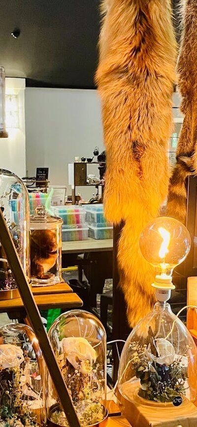 Curios Stall