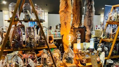 Curios Stall