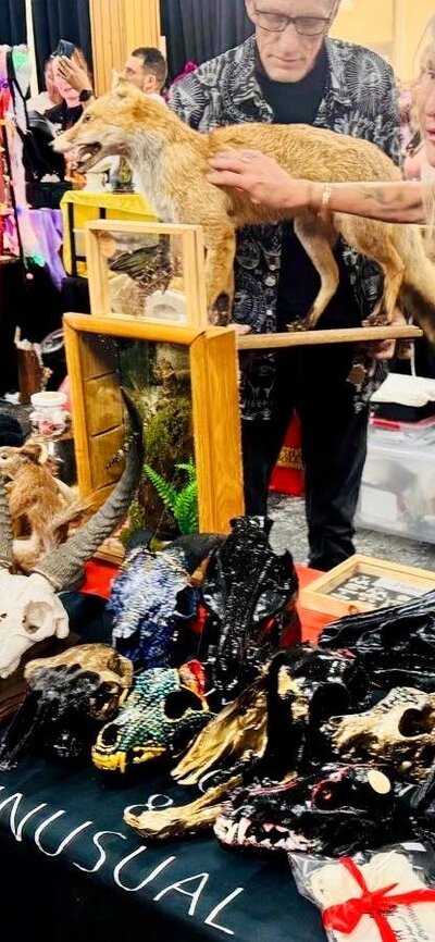 Taxidermy Stall