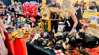 Taxidermy Stall