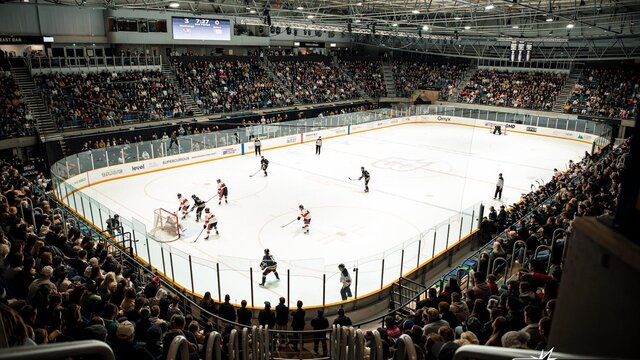 Image of Hockey Players