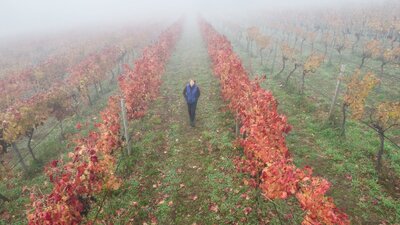 A tasting at the Canberra Cellar Door is a great way to explore the wine region. A winemaker walks in an autumn Canberra vineyard.