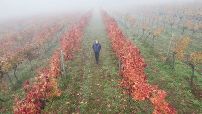 A tasting at the Canberra Cellar Door is a great way to explore the wine region. A winemaker walks in an autumn Canberra vineyard.