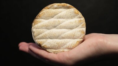 Long Paddock Cheese Driftwood Driftwood