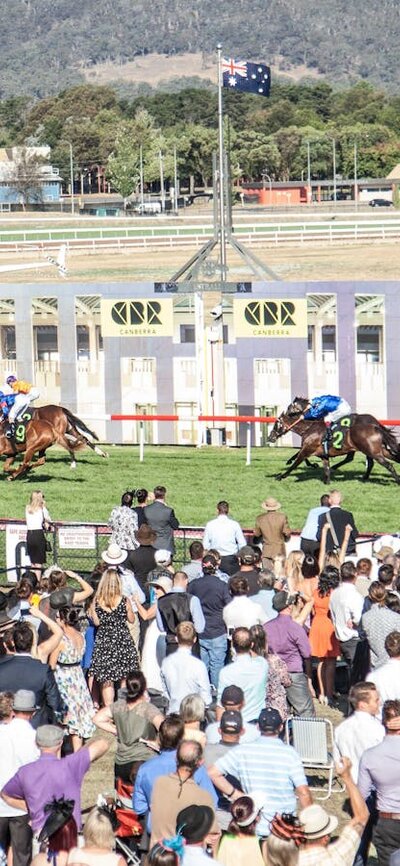 First past the post View of horses crossing the finishing post in front of a crowded stand