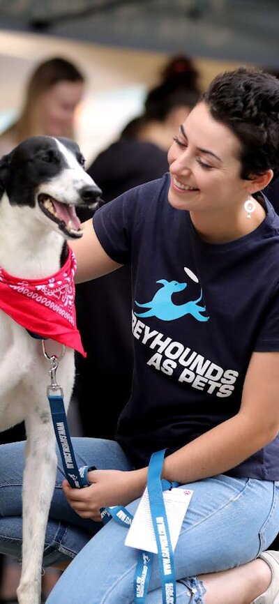 Greyhounds Make Great Pets