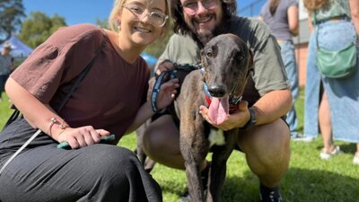 Greyhound Adoption Event