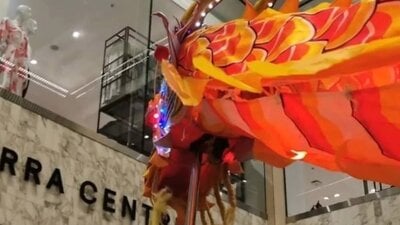 Canberra Dragon Dance at Canberra Moon Festival