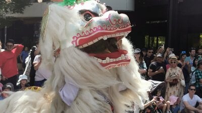 Northern Chinese Lion from Canberra Dragon Dance for Canberra Centre Lunar New Year