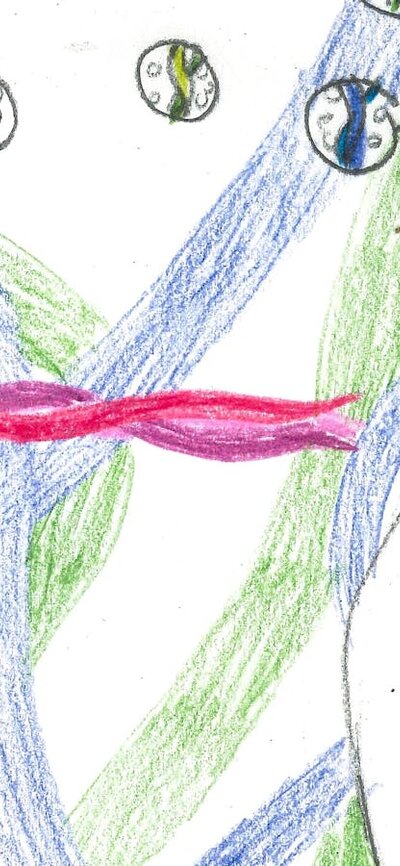 Kids Design Comp Previous Winners Submission Exsample