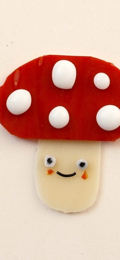 Mushroom Magnets