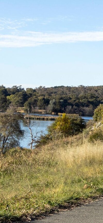 Runner runs alongside lake on bike path with parliament house in the background