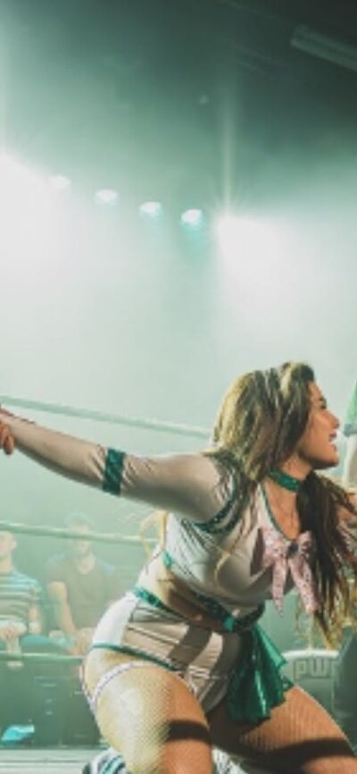 Live Action Wrestling Everyday