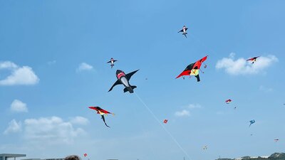 Canberra’s kite flying festival 2026