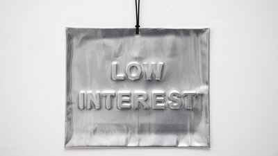 A rectangular plate of thin aluminium embossed with the words 'Low Interest'