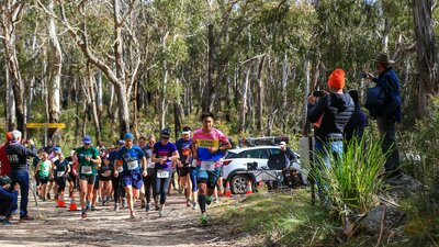 Runners running through the bush