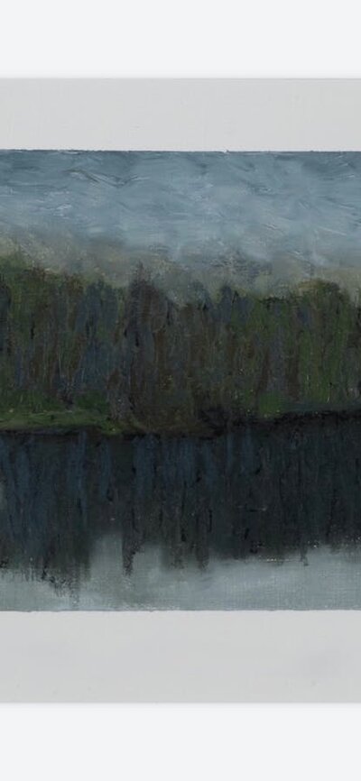 Melissa Hammond, The Resident Swan on the Lake, oil pastels