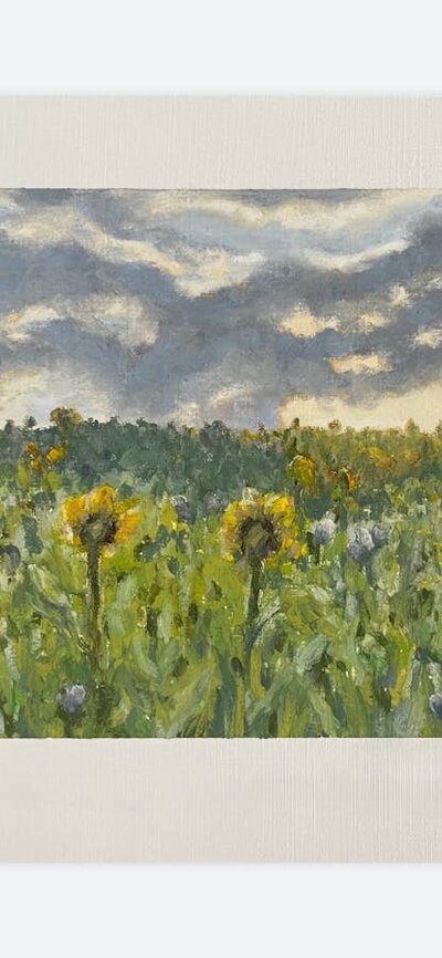 Melissa Hammond, Sunrise among the sunflowers, oil pastels