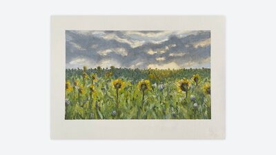 Melissa Hammond, Sunrise among the sunflowers, oil pastels